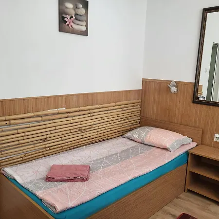 Haus Baron 1 Neckarau Pensionat